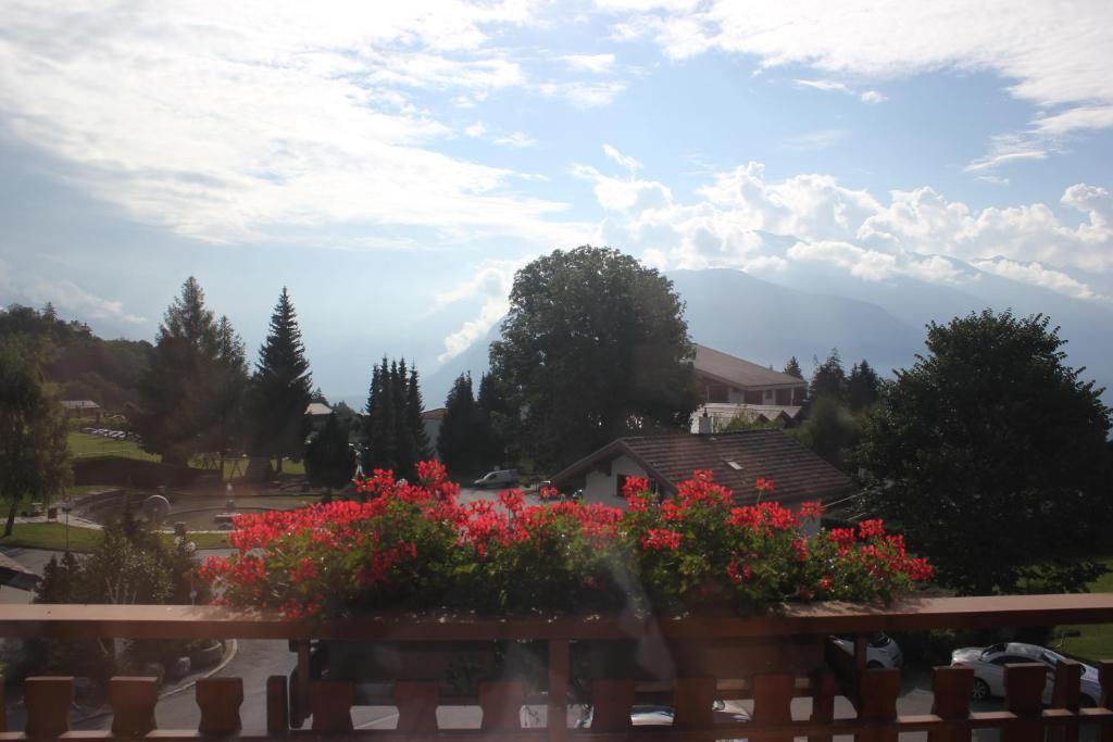 Petit Paradis Crans-Montana Bagian luar foto